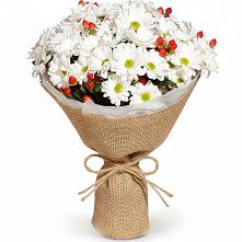 Букет цветов из:  Хризантемы #REPLACE_PRED# Караидель